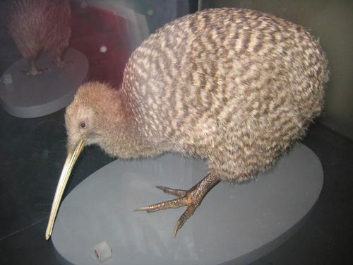 13936