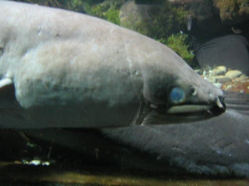 285