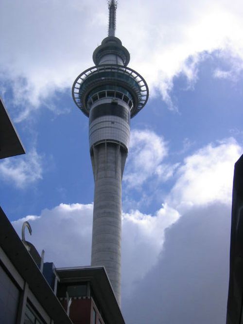 310